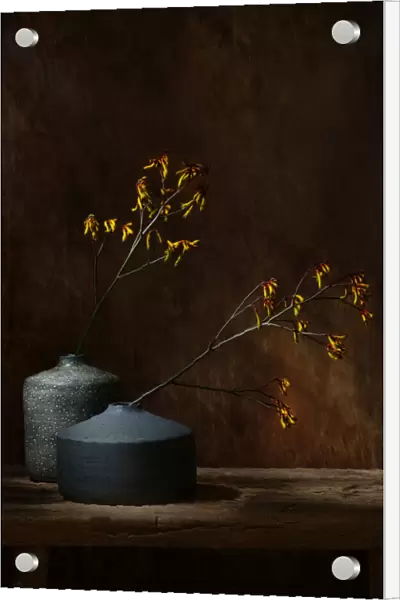Still life with oker flowers