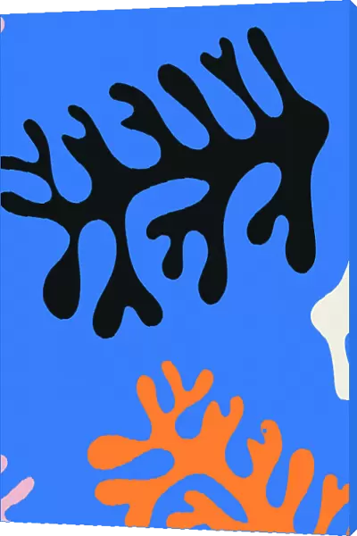 Henri Matisse's Fabulous Algae #1