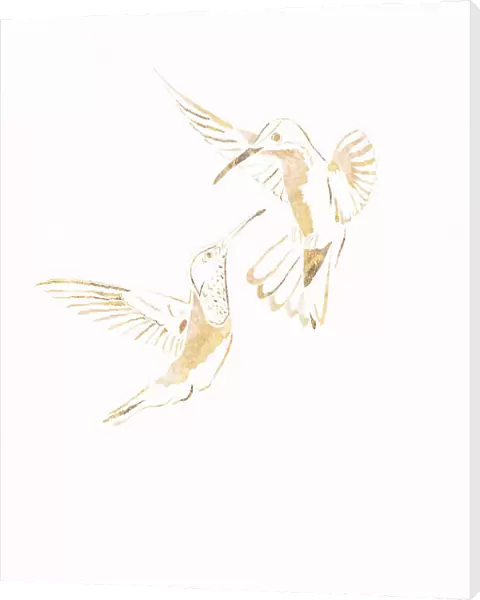 Gold Hummingbird Line art Silhouettes 4