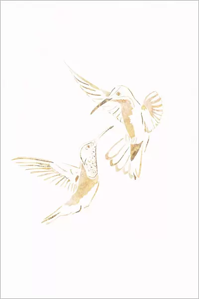 Gold Hummingbird Line art Silhouettes 4