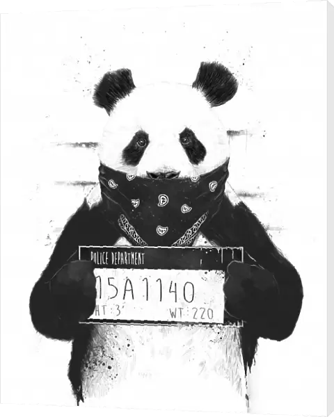 Bad panda. Balazs Solti