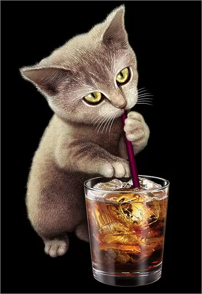 cat and soft drink