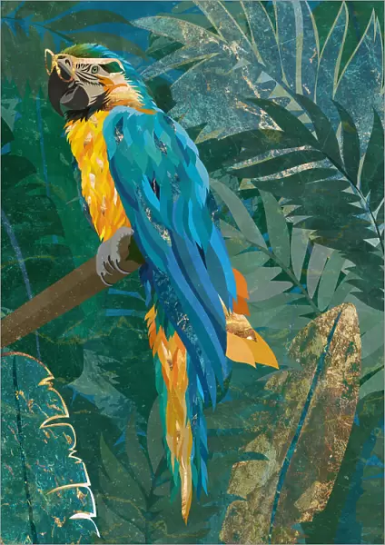 Blue parrot in the rainforest