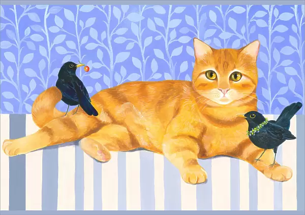 Ginger Cat and Blackbirds