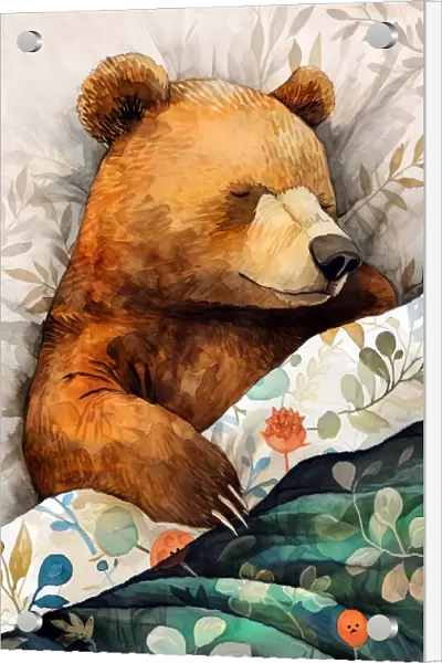 Sleepy Bear animal story