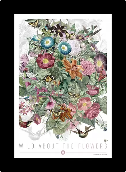 Wild About the Flowers 1