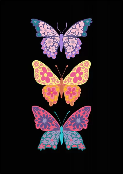 Colorful floral butterflies III