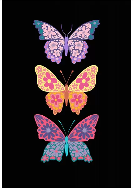 Colorful floral butterflies III