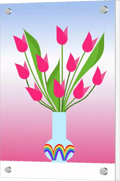 Tulips in the rainbow vase