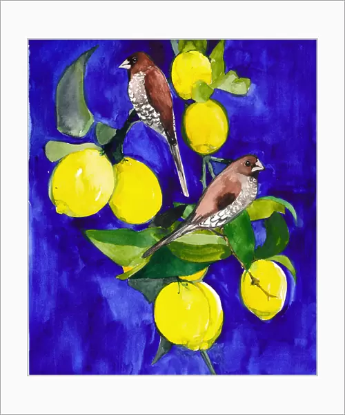 Lemon Tree With Finches Small