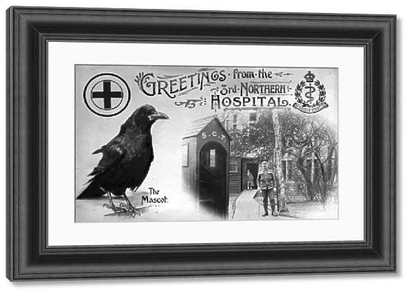 Christmas Card showing Mascot from 3rd Northern General Base Hospital, Broomhall, World War I, , 1916