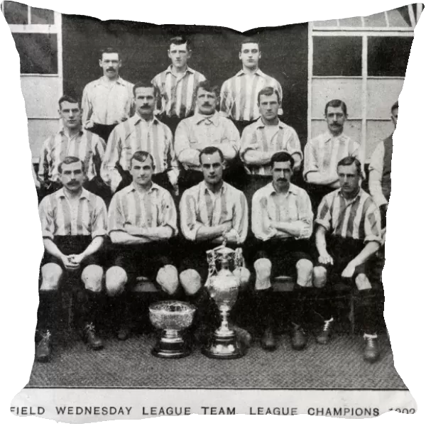 Sheffield Wednesday League Champions, 1902-1903