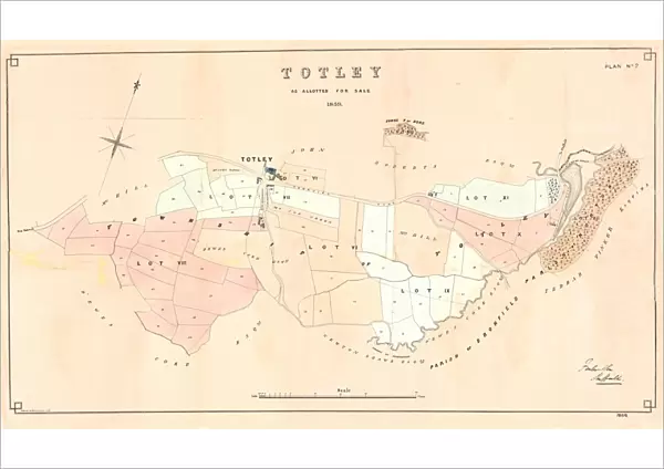 Plan of Totley as allotted for sale, 1859