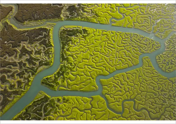 Aerial view of the rivers and saltmarshes of the Bahia  /  Bay de Cadiz Natural Park