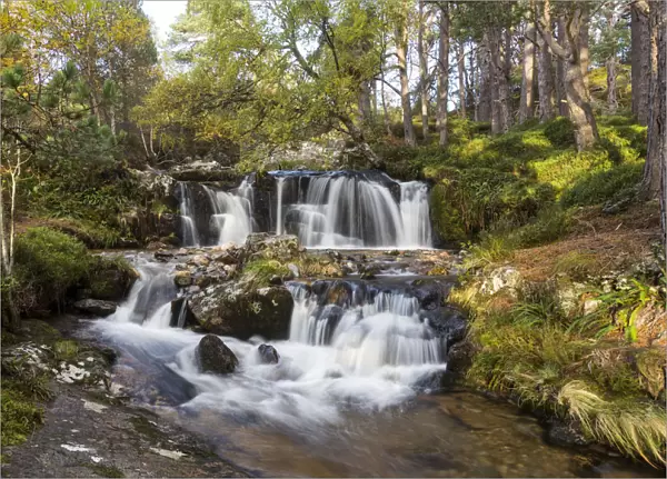 Alt Ruadh river flowing through woodland, Glenfeshie, Cairngorms National Park, Scotland