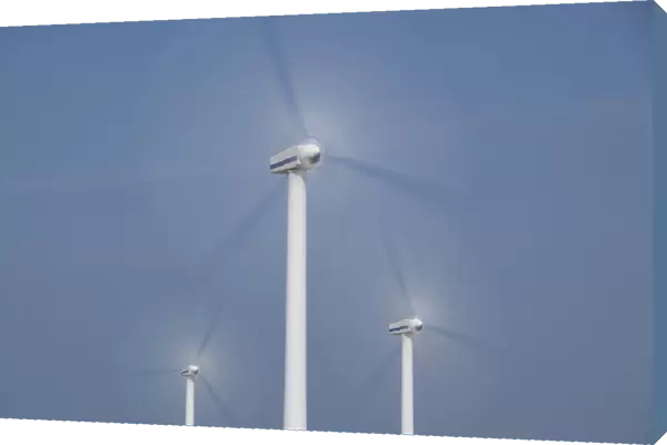 Robin Rigg windfarm, Workington, Solway Firth, Cumbria, UK, April 2011