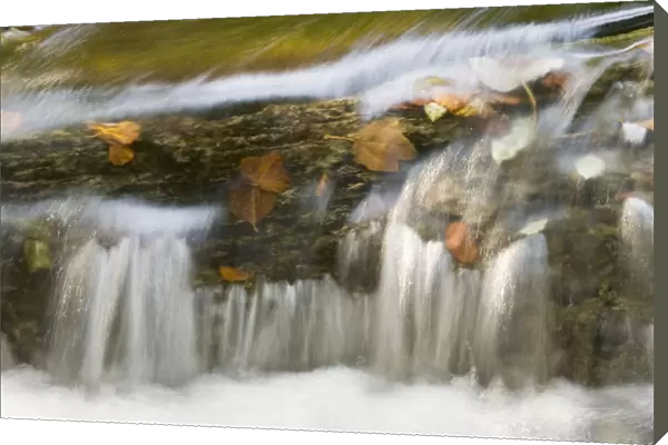 Small cascade on travertine, Galovac barrier, Upper Lakes, Plitvice Lakes NP Croatia