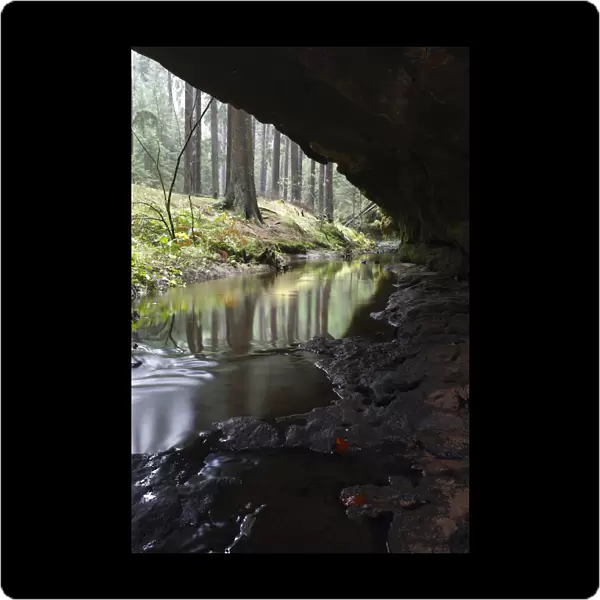Mezni Potok  /  Stream flowing underneath a rock, Rynartice, Ceske Svycarsko  /  Bohemian
