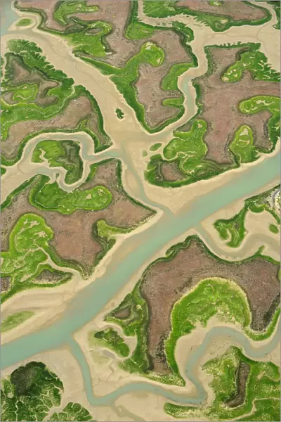 Aerial view of marshes at low tide, Baha de Cdiz Natural Park, Cdiz, Andalusia, Spain