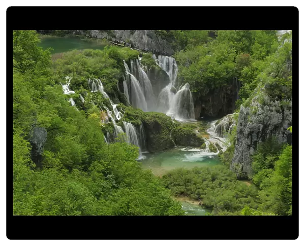Waterfall and rapids falling into a mountain pool in woodland. Plitvice National Park