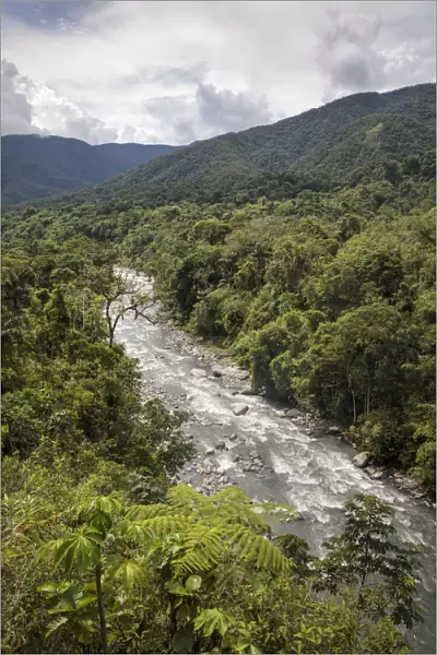 River running through cloud forest, Manu Biosphere Reserve, Amazonia, Peru