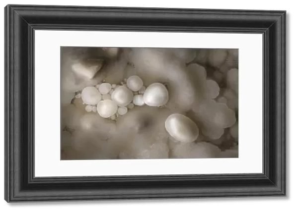 Cave Pearls, formed as dripping water rich in calcium salts deposits calcite around