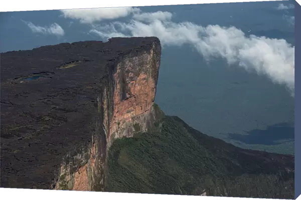 Mount Roraima tepui (flat top mountain) is the highest of the Pakaraima chain of