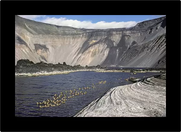 Mineral lake with White-cheeked pintails (Anas bahamensis) during quiet volcanic period