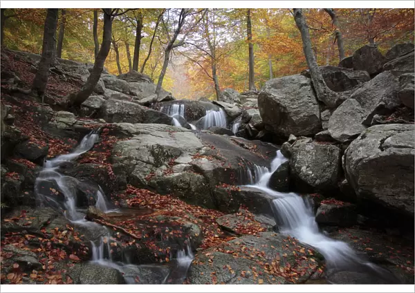 Waterfall in autumnal beechwood in Montseny Natural Park, Barcelona, Spain