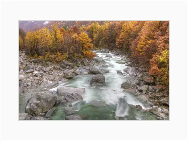 Landscape of the Verzasca River in autumn, Canton Tessin, Switzerland, November 2011