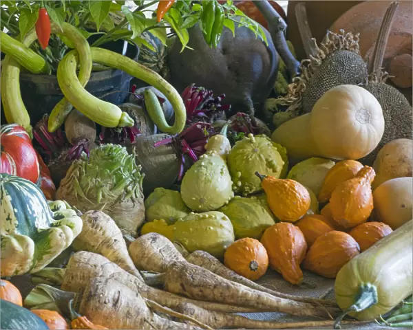 Home-grown fruit and vegetables harvested in the autumn. October