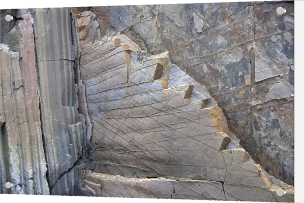 Cemented joints in a vertical bed of Carboniferous, Culm Measures, sandstone, Bude, Cornwall, UK. January, 2022