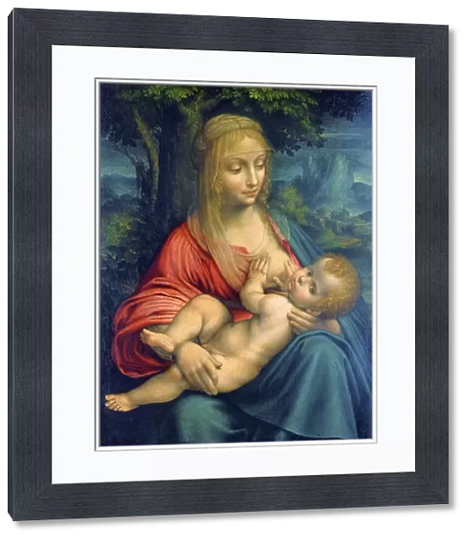 The Virgin and Child, c1511. Artist: Leonardo da Vinci