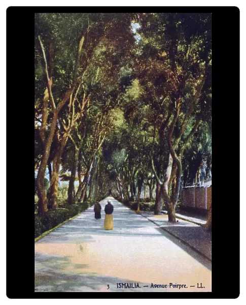 Avenue Poirpre, Ismailia, Egypt, c1900