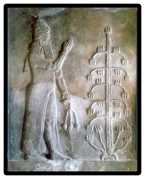 Stone relief of Sargon I standing before a tree of life, 24th-23rd century BC