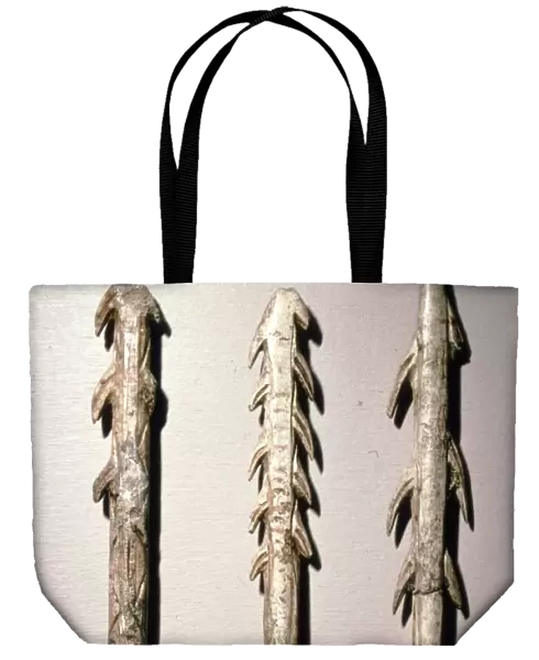 Bone Harpoons for fishing, Dordogne region, France, Paleolithic Period, (c20th century)
