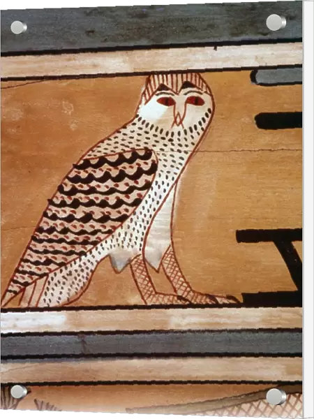 Owl, Hieroglyphic inscription on inner wall of coffin of steward, Seni, El Bersha, Egypt, c2000 BC