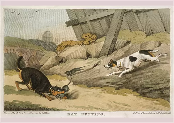 Rat Hunting, 1823
