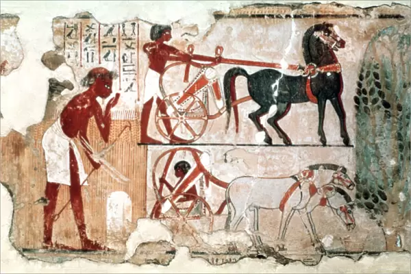 Inspecting the Fields, 1350 BC