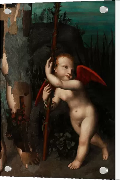 Cupid with a myrtle, before 1593. Artist: Luini, Aurelio (1530-1593)