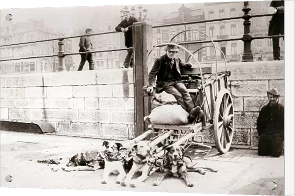 Man with dogcart, Antwerp, 1898. Artist: James Batkin