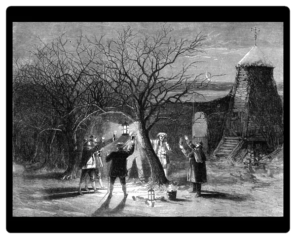 Wassailing apple trees with hot cider in Devonshire on twelfth eve, 1861