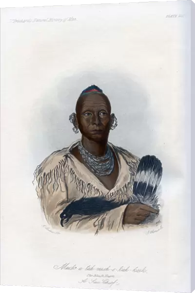 Muck-a-tah-mish-o-kah-kaik, The Black Hawk, A Sac Chief, 1848. Artist: Harris