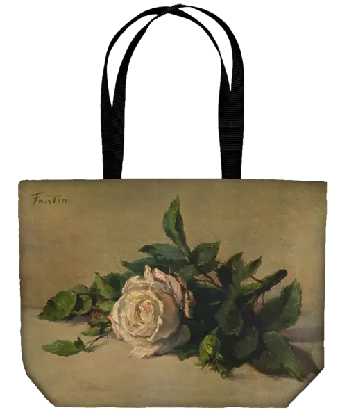 White Rose, c1863, (1938). Artist: Henri Fantin-Latour