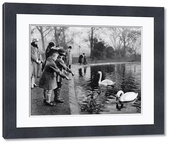 Children feeding the swans on the Serpentine, London, 1926-1927