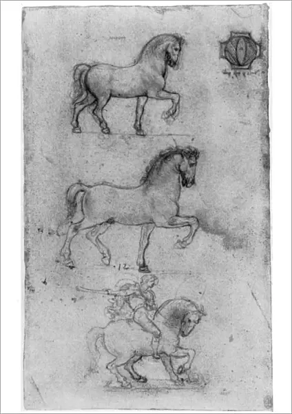 Studies for the Trivulzio Monument, c1508 (1954). Artist: Leonardo da Vinci