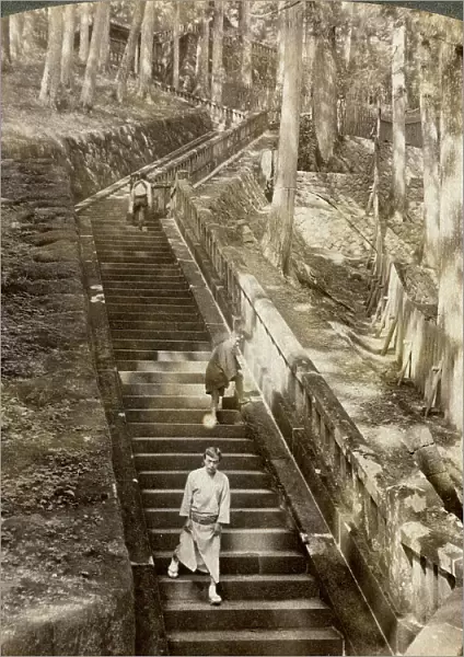 Ancient stone stairway up the hill to the tomb of Shogun Ieyasu, Nikko, Japan, 1904. Artist: Underwood & Underwood