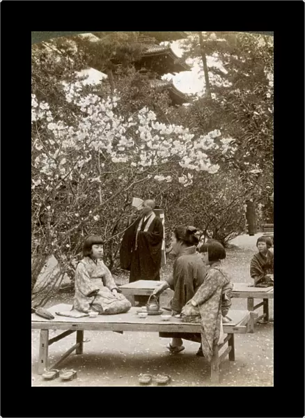 A family enjoying a picnic under the cherry blossoms, Omuro Gosho, Kyoto, Japan, 1904. Artist: Underwood & Underwood