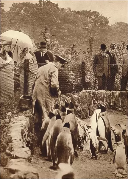 Penguins on parade for the King, 1934 (1935)
