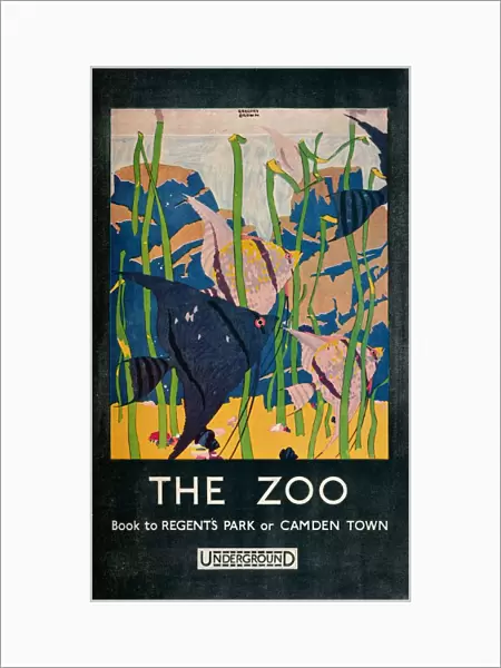 The Zoo, 1924. Artist: Gregory Brown